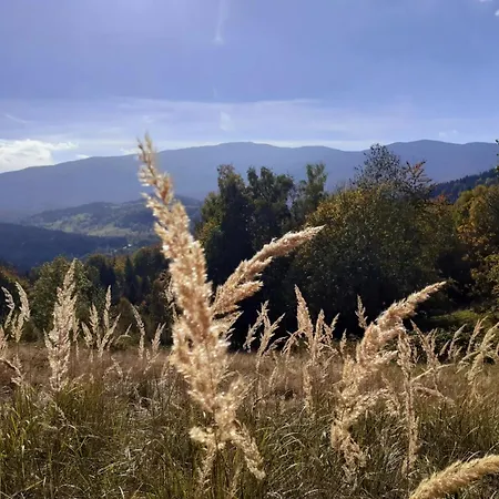 Dom Barankowo * Zawoja